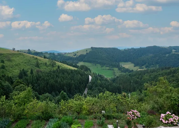 Отель Trattoria Speranza