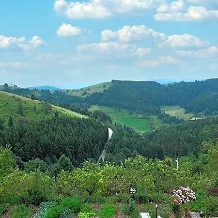 Trattoria Speranza 2*
